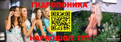 крисы Абинск