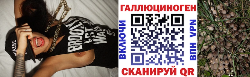 Псилоцибиновые грибы GOLDEN TEACHER  Азнакаево 