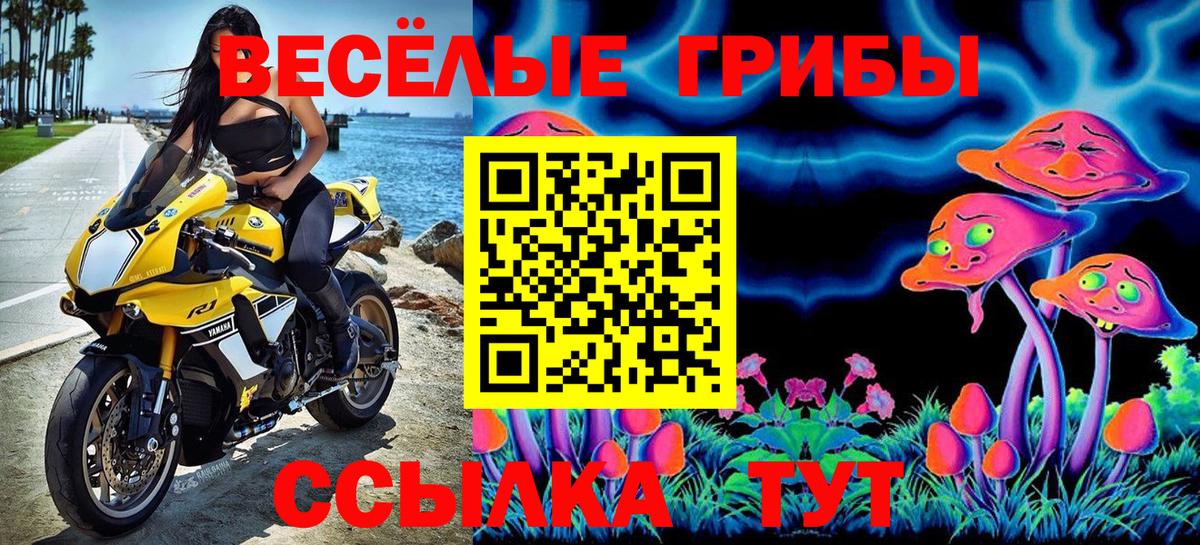 Азнакаево  Галлюциногенные грибы Cubensis  где можно купить   Вход с VPN 